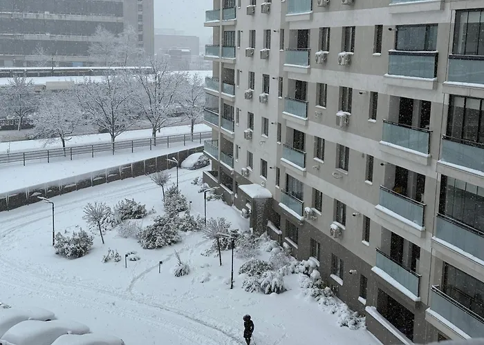 Carol Park Bucureşti